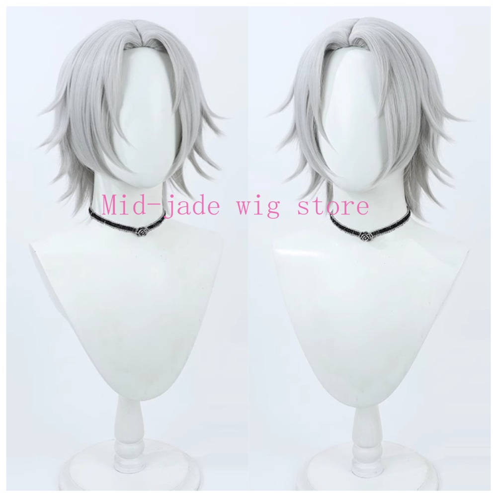 Hayato Gokudera Cosplay Pruik  - Photography Japanese recensie en prijs