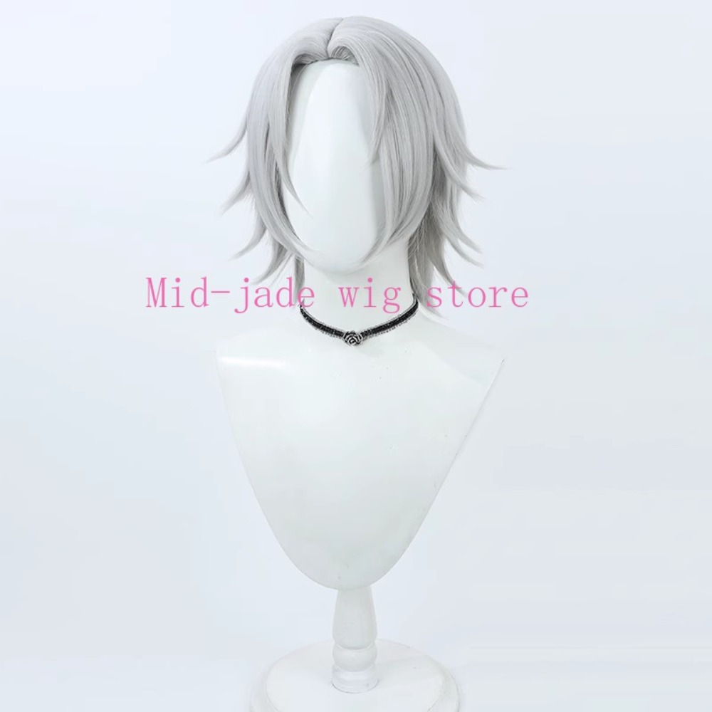 Hayato Gokudera Cosplay Pruik  - Photography Japanese recensie en prijs