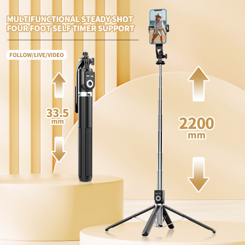 Selfie Stick P220 Draadloze Se - Photography Basics recensie en prijs